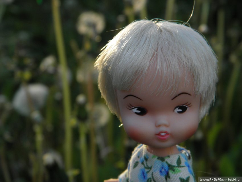 "Королева Одуванчиковых Фей." (фото 2)