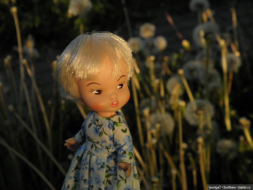 "Королева Одуванчиковых Фей."