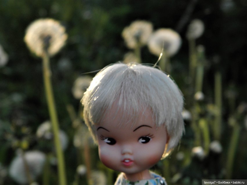 "Королева Одуванчиковых Фей." (фото 4)