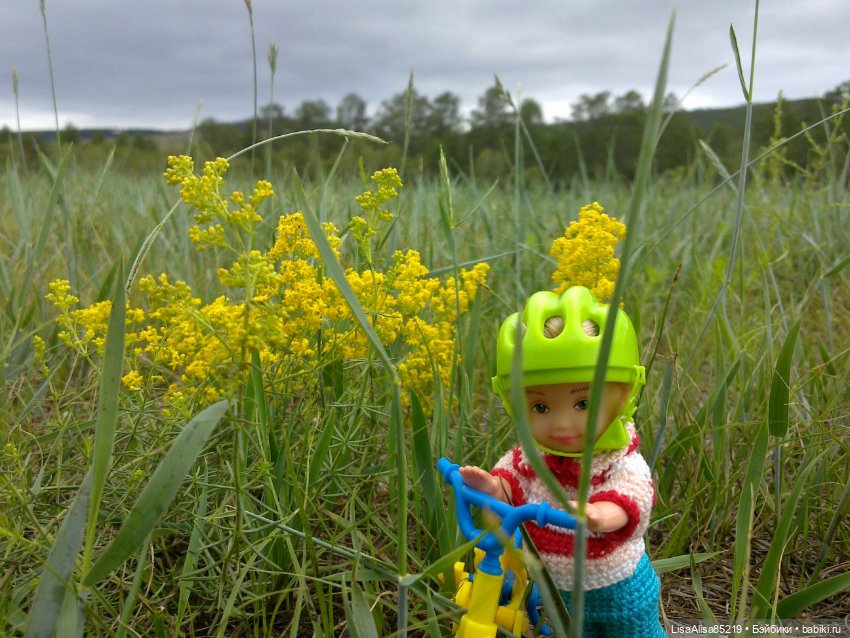 Моя коллекция маленьких куколок