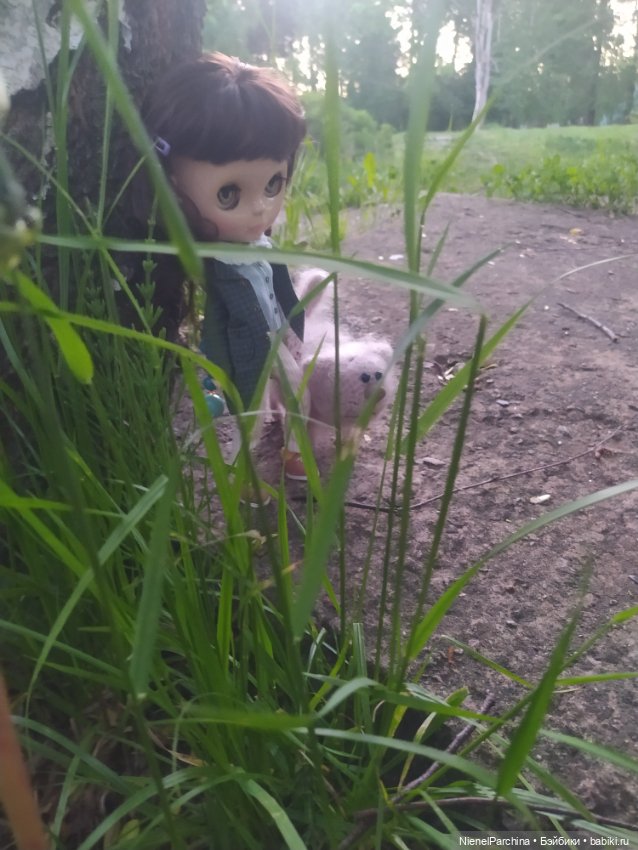 Диана и Васька, Прогулка — Куклы Blythe TBL (ТБЛ) и аналоги: Блюх