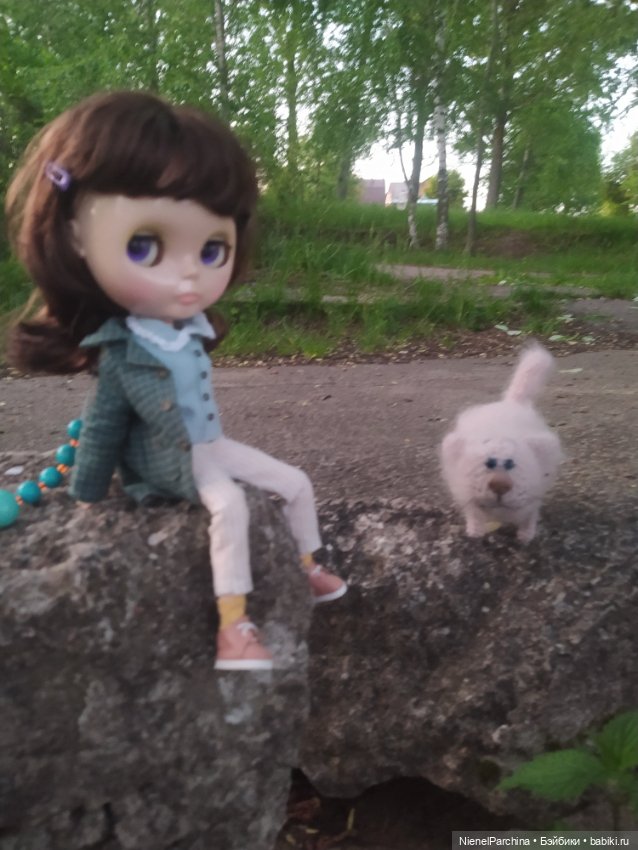 Диана и Васька, Прогулка — Куклы Blythe TBL (ТБЛ) и аналоги: Блюх