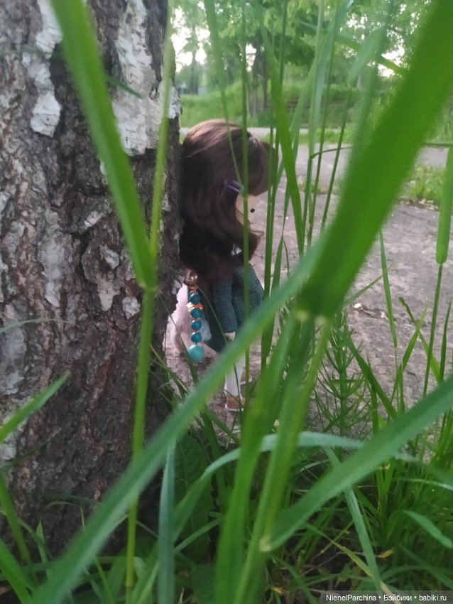 Диана и Васька, Прогулка — Куклы Blythe TBL (ТБЛ) и аналоги: Блюх