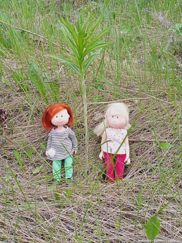 Путешествие Мари и Глаши — Игровые куклы разных производителей (Разное): редкие бренды