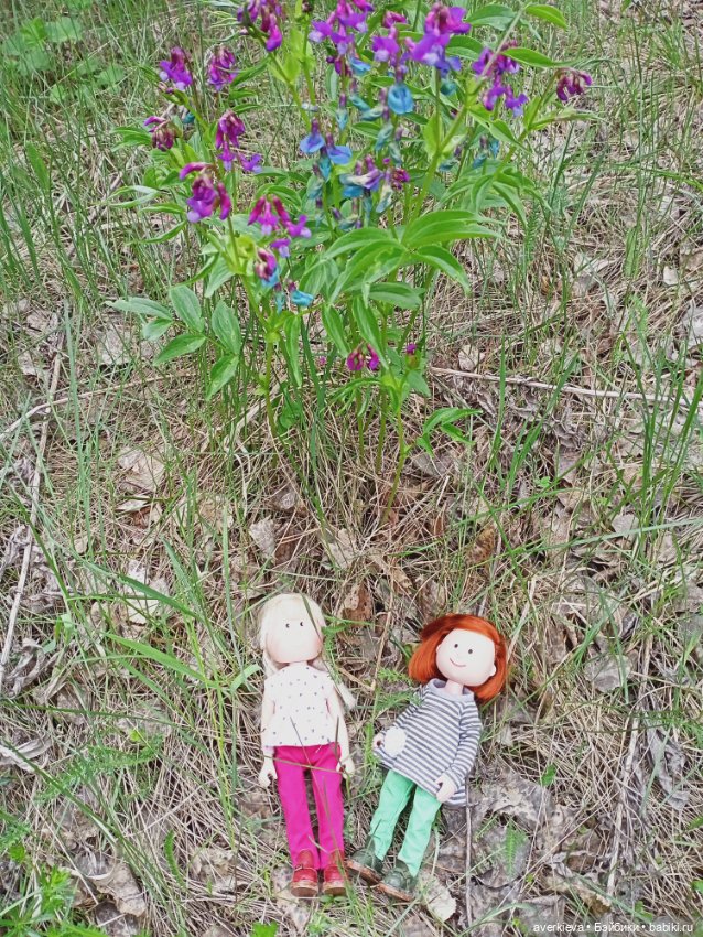 Путешествие Мари и Глаши — Игровые куклы разных производителей (Разное): редкие бренды