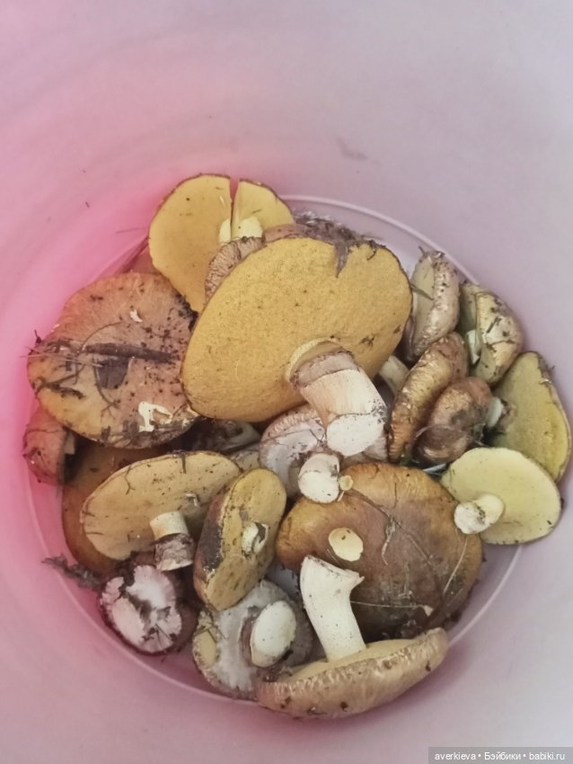 Путешествие Мари и Глаши — Игровые куклы разных производителей (Разное): редкие бренды