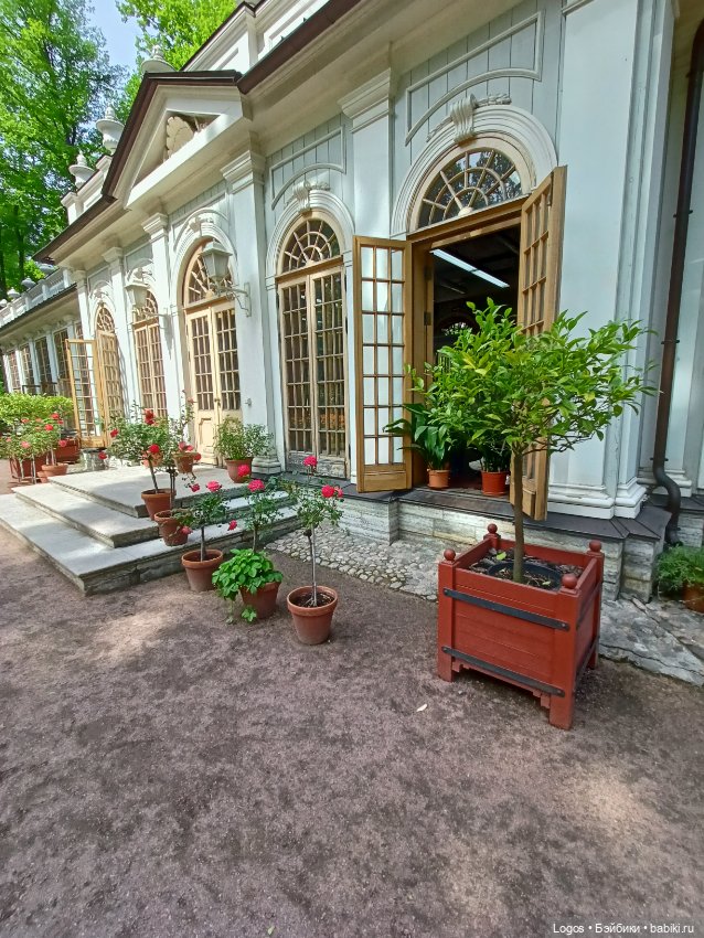 Я к розам хочу, в тот единственный сад.... Или топик длиною в девять лет