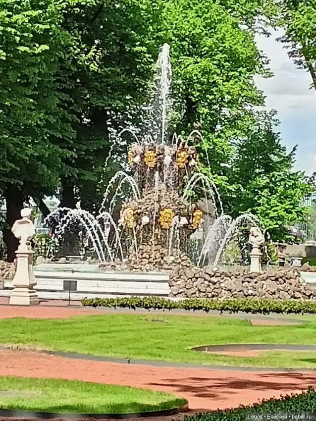 Я к розам хочу, в тот единственный сад.... Или топик длиною в девять лет (фото 7)