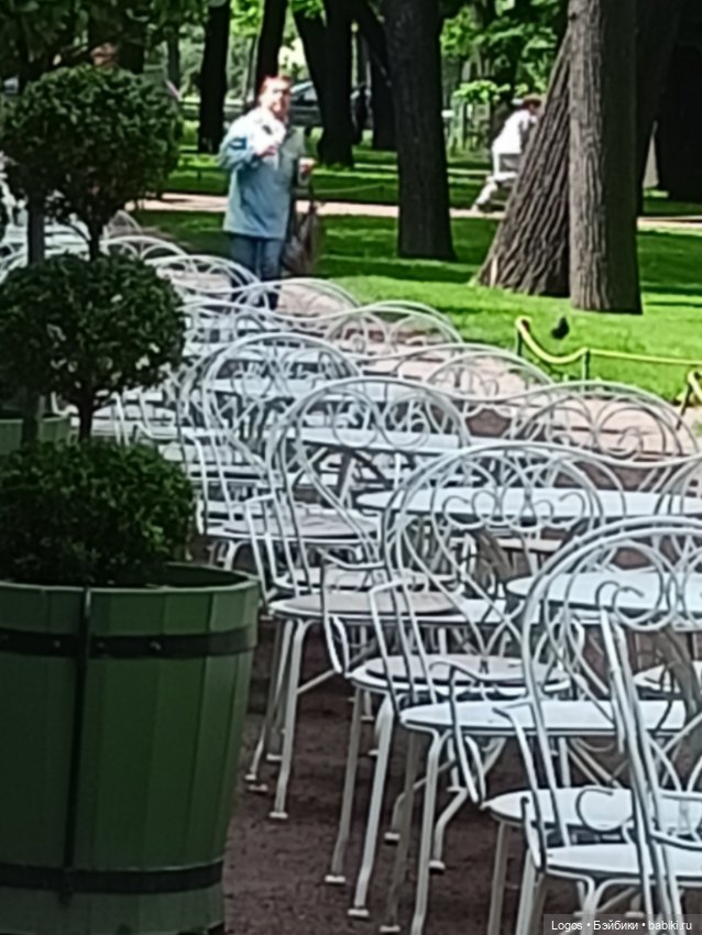 Я к розам хочу, в тот единственный сад.... Или топик длиною в девять лет