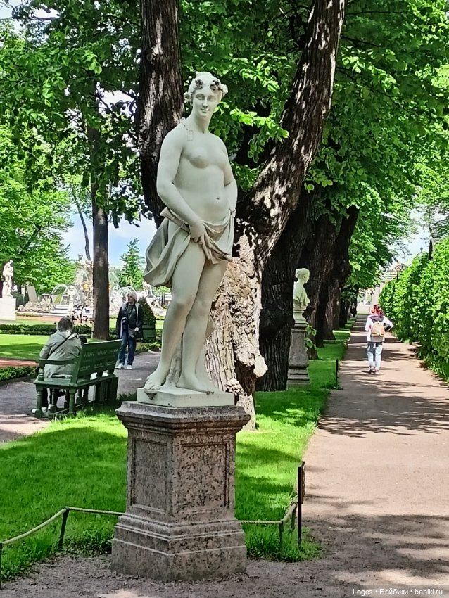 Я к розам хочу, в тот единственный сад.... Или топик длиною в девять лет (фото 3)