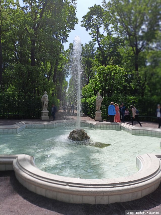 Я к розам хочу, в тот единственный сад.... Или топик длиною в девять лет (фото 10)