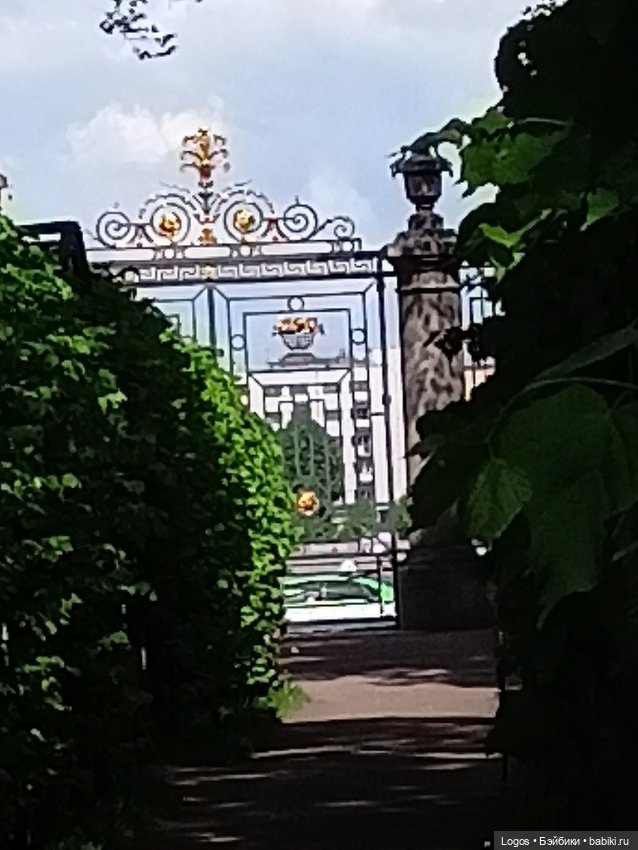 Я к розам хочу, в тот единственный сад.... Или топик длиною в девять лет