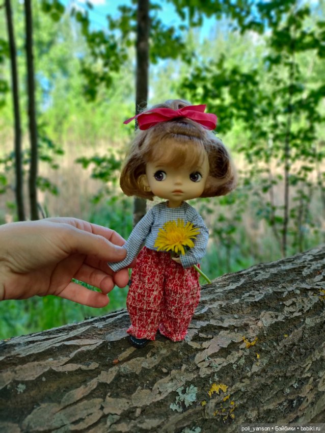 Запись в дневнике poli_yanson от 13:16 6.06.2022 (фото 3)