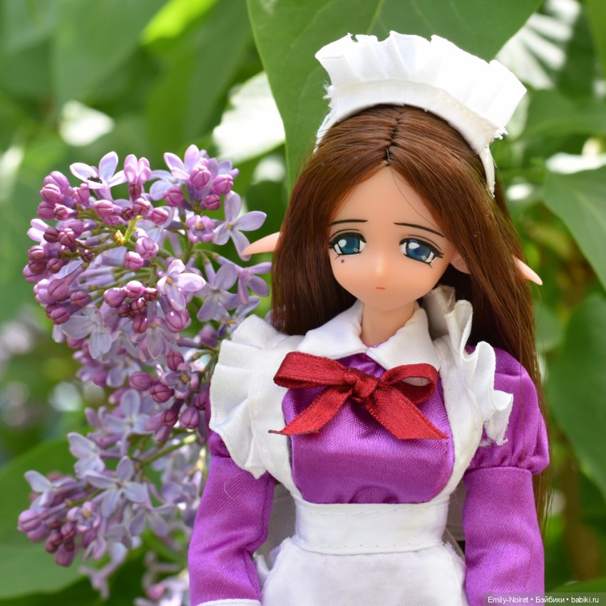 Сирень и не только — Домашние коллекции кукол: фото собраний