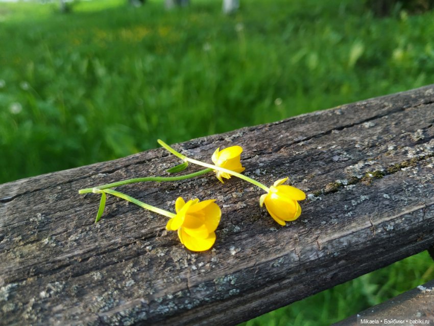 А она не пришла — Домашние фото авторских кукол: личные коллекции