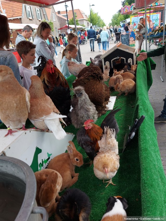 Fashion Dolls 380 — Туризм и путешествия: фотоотчеты из поездок (фото 3)