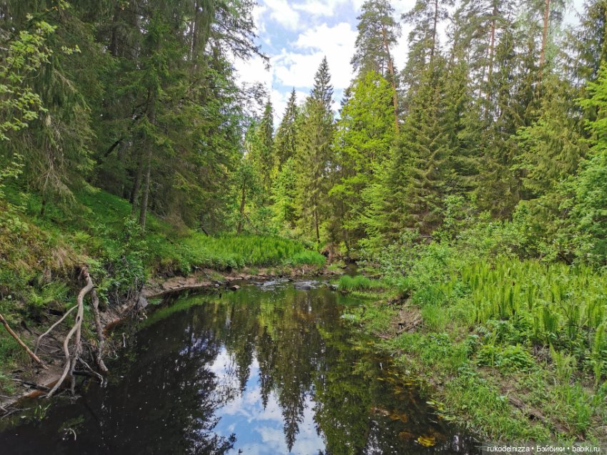Танечка и солнечный зайчик