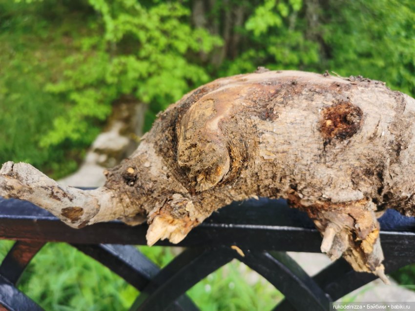 Танечка и солнечный зайчик