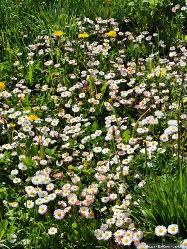 Танечка и солнечный зайчик