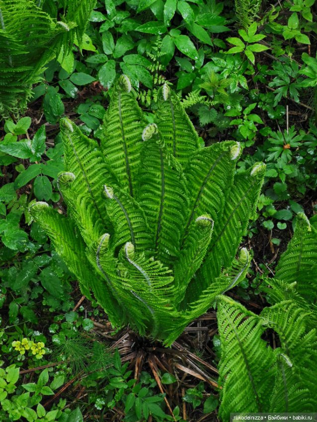 Танечка и солнечный зайчик