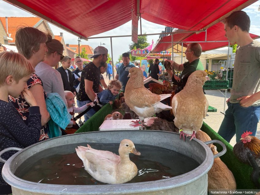 Fashion Dolls 380 — Туризм и путешествия: фотоотчеты из поездок