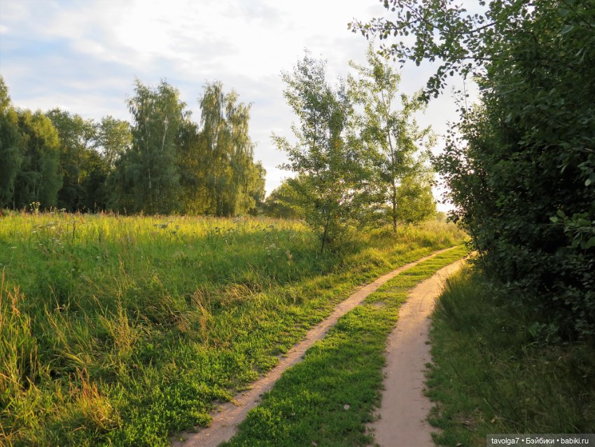 Девушка Лето. Tuesday Taylor (фото 2)