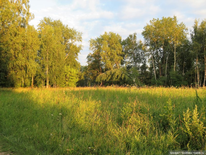 Девушка Лето. Tuesday Taylor (фото 3)