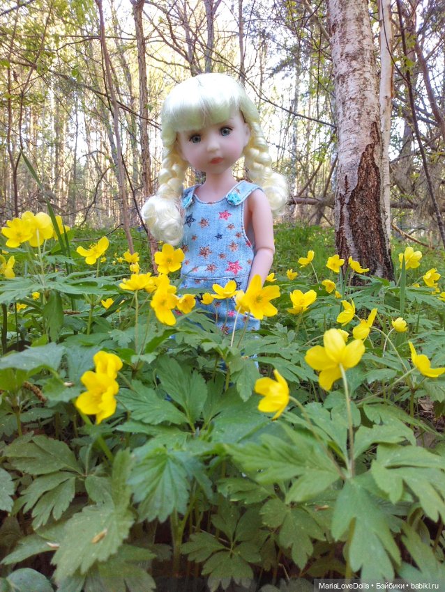 Весенне-летние прогулки — Куклы Ruby Red (Руби Ред) Fashion Friends: Siblies