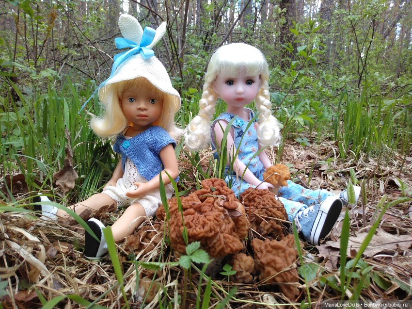 Весенне-летние прогулки — Куклы Ruby Red (Руби Ред) Fashion Friends: Siblies (фото 2)