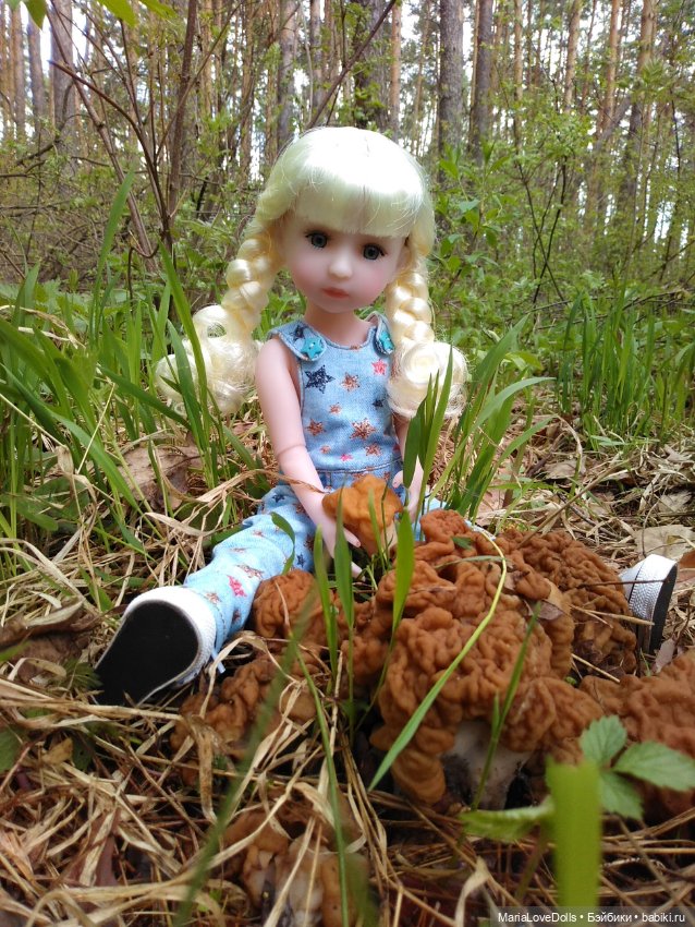 Весенне-летние прогулки — Куклы Ruby Red (Руби Ред) Fashion Friends: Siblies