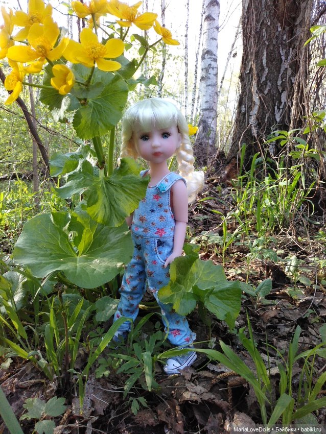 Весенне-летние прогулки — Куклы Ruby Red (Руби Ред) Fashion Friends: Siblies