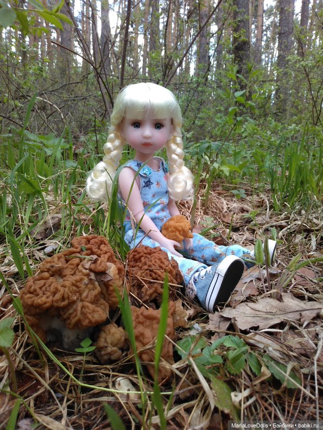Весенне-летние прогулки — Куклы Ruby Red (Руби Ред) Fashion Friends: Siblies (фото 3)