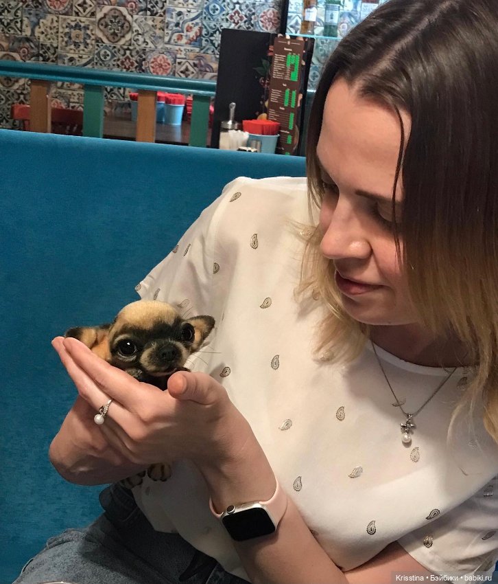 Ярко солнце светит …🌞 — Домашние фото авторских игрушек: Тедди (фото 4)