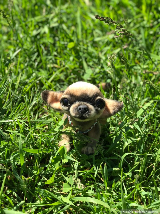 Ярко солнце светит …🌞 — Домашние фото авторских игрушек: Тедди (фото 6)