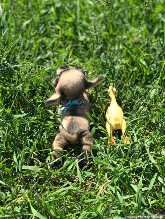 Ярко солнце светит …🌞 — Домашние фото авторских игрушек: Тедди (фото 9)