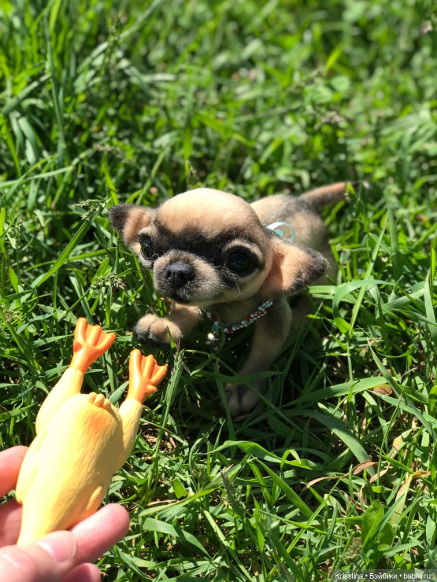 Ярко солнце светит …🌞 — Домашние фото авторских игрушек: Тедди (фото 7)