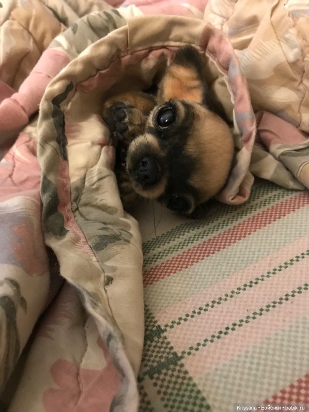 Ярко солнце светит …🌞 — Домашние фото авторских игрушек: Тедди (фото 3)