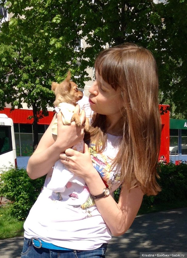 Ярко солнце светит …🌞 — Домашние фото авторских игрушек: Тедди