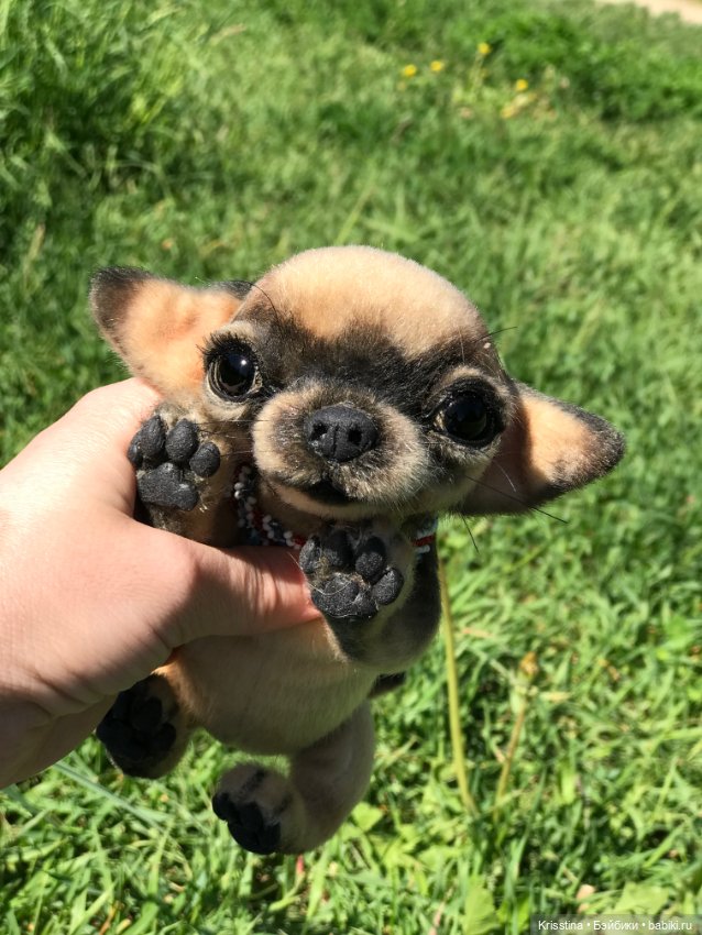 Ярко солнце светит …🌞 — Домашние фото авторских игрушек: Тедди