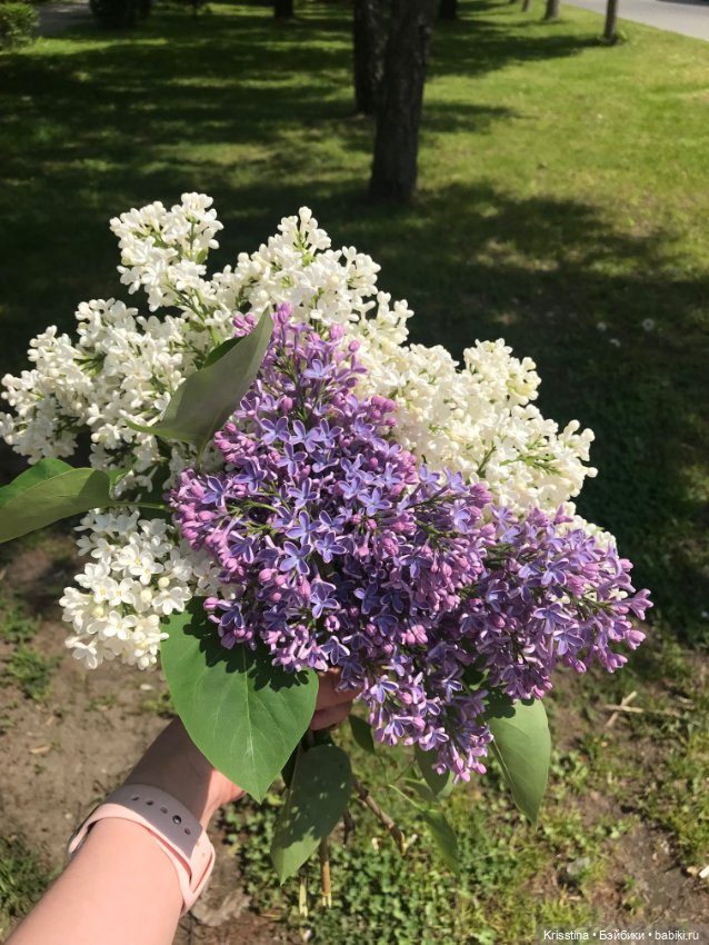 Ярко солнце светит …🌞 — Домашние фото авторских игрушек: Тедди