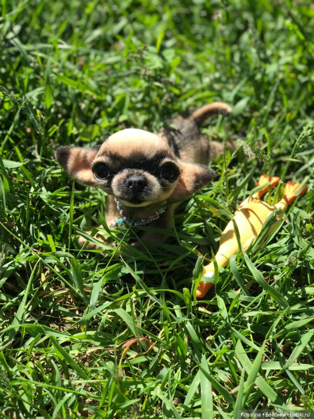 Ярко солнце светит …🌞 — Домашние фото авторских игрушек: Тедди (фото 8)