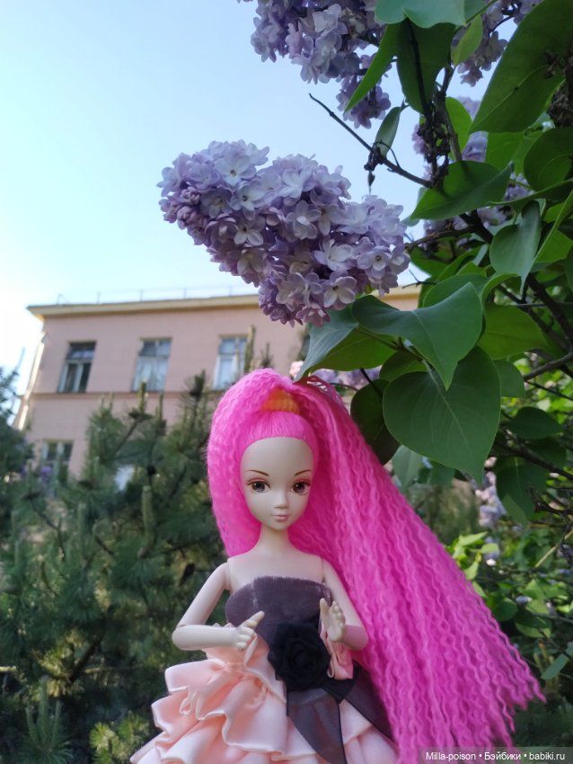 Glikeriia La Fleur в ботаническом саду имени Цицина (фото 8)