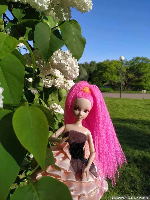 Glikeriia La Fleur в ботаническом саду имени Цицина (фото 9)