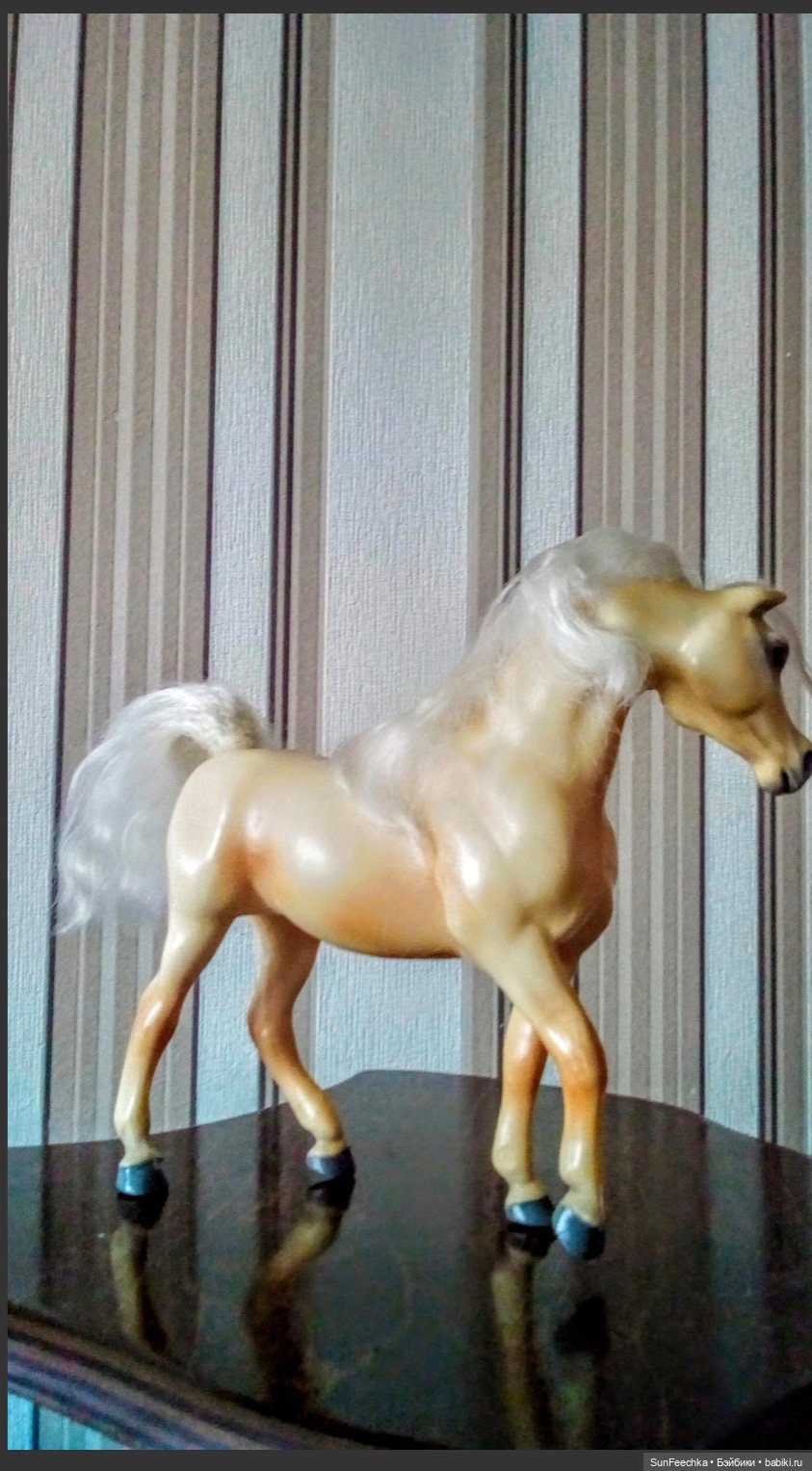 Мое сокровище, приобретённое на блошке. Арабская кобыла Sonador (фото 7)