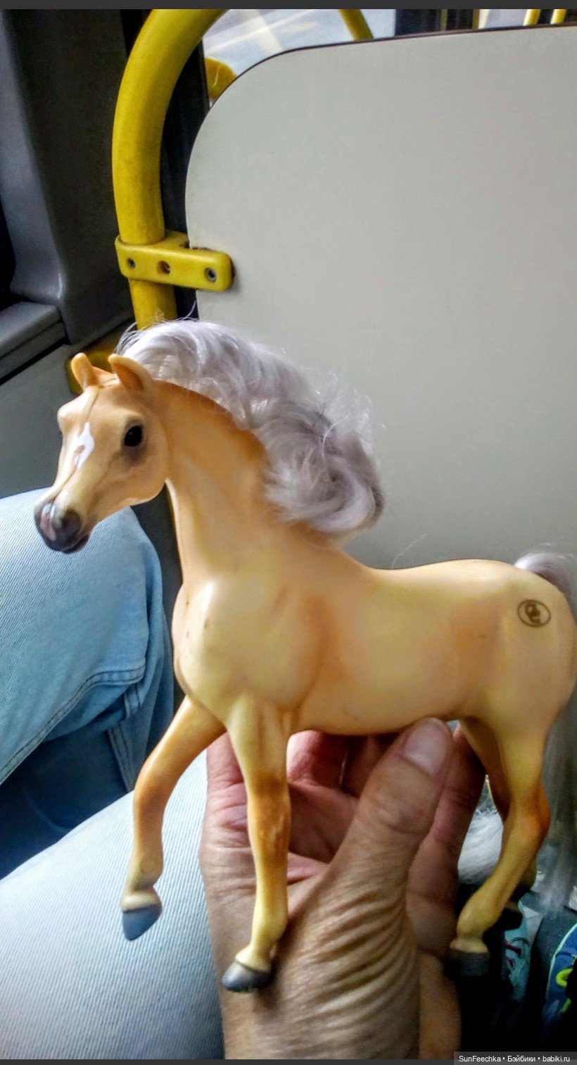 Мое сокровище, приобретённое на блошке. Арабская кобыла Sonador