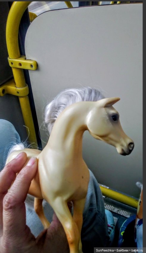Мое сокровище, приобретённое на блошке. Арабская кобыла Sonador (фото 4)