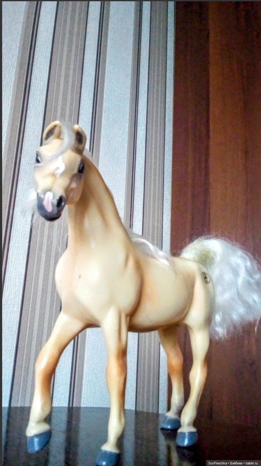 Мое сокровище, приобретённое на блошке. Арабская кобыла Sonador (фото 6)