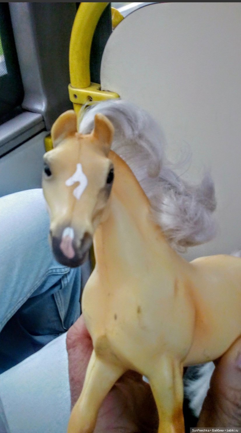 Мое сокровище, приобретённое на блошке. Арабская кобыла Sonador (фото 2)