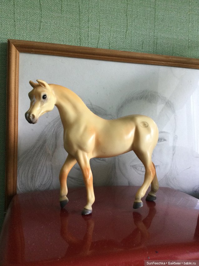 Мое сокровище, приобретённое на блошке. Арабская кобыла Sonador (фото 5)