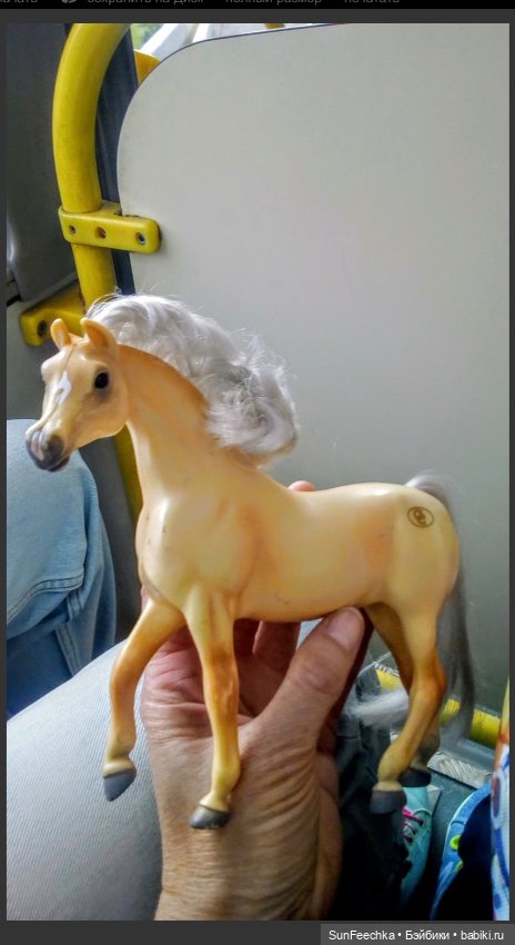 Мое сокровище, приобретённое на блошке. Арабская кобыла Sonador (фото 3)